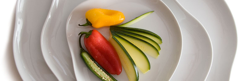 Orion fine porcelain dinnerware